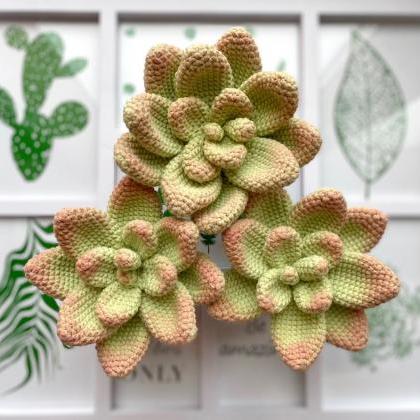 Pattern Crochet Succulent Amigurumi Crochet Plant..