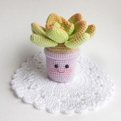Pattern Crochet Succulent Amigurumi Crochet Plant..