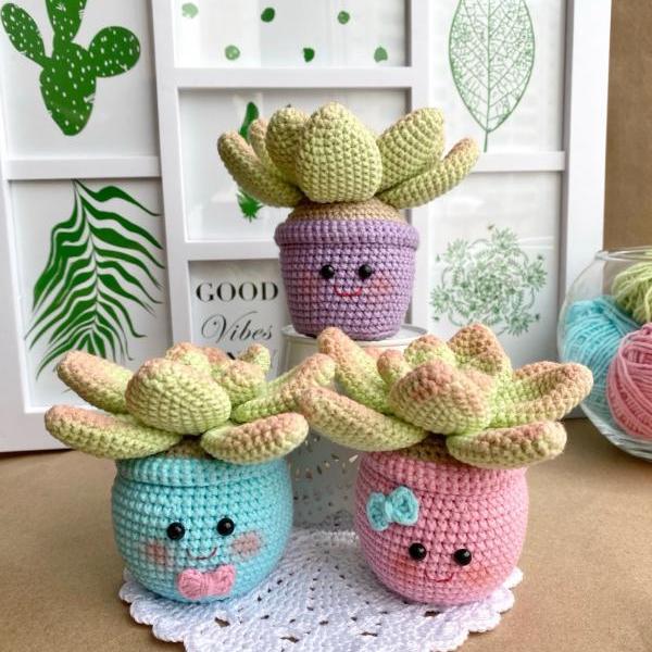 Succulent gift Succulent lover Rare succulent Succulent bouquet Garden gift House plant Expecting mom gift Quarantine 2020 birthday gift New