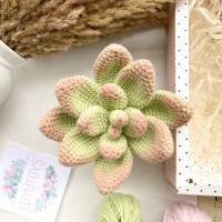 Pattern Crochet Succulent Amigurumi Crochet Toy Kawaii Crochet Plush  Crochet Plant Rare Succulent Fa on Luulla